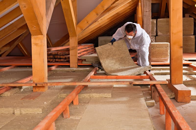 Professional Technician in Attic