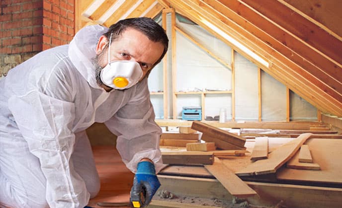 Attic Rat Control Image