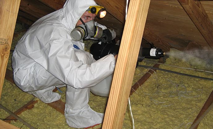 Attic Rat Control Image