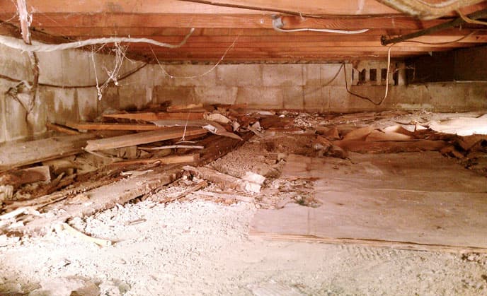 Crawl Space Cleaning