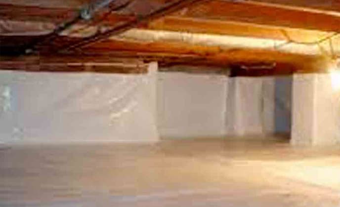 Attic Rat Control Image