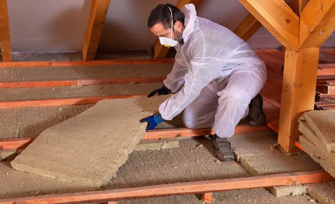 Attic Rat Control Image