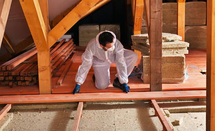 Attic Rat Control Image