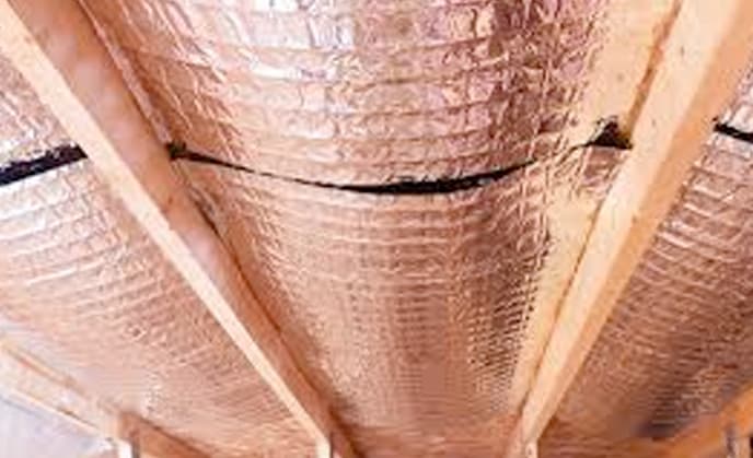 Attic Rat Control Image