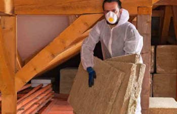 Attic decontamination